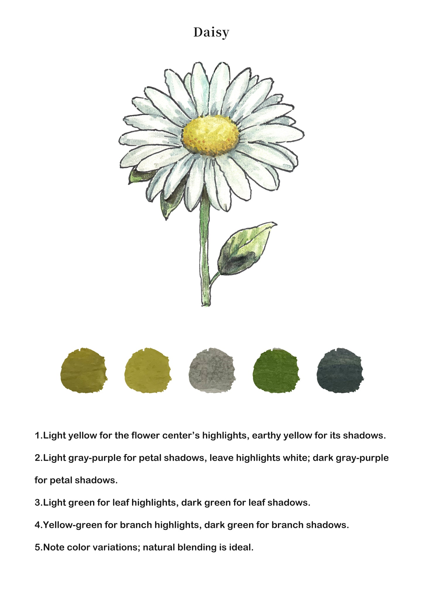 Flowers_Watercolor_Book_-_ArtVibe_Exclusive_Book_Only_1314