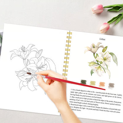 Complete Watercolor Book Set - FREE Watercolors and Brushes Included