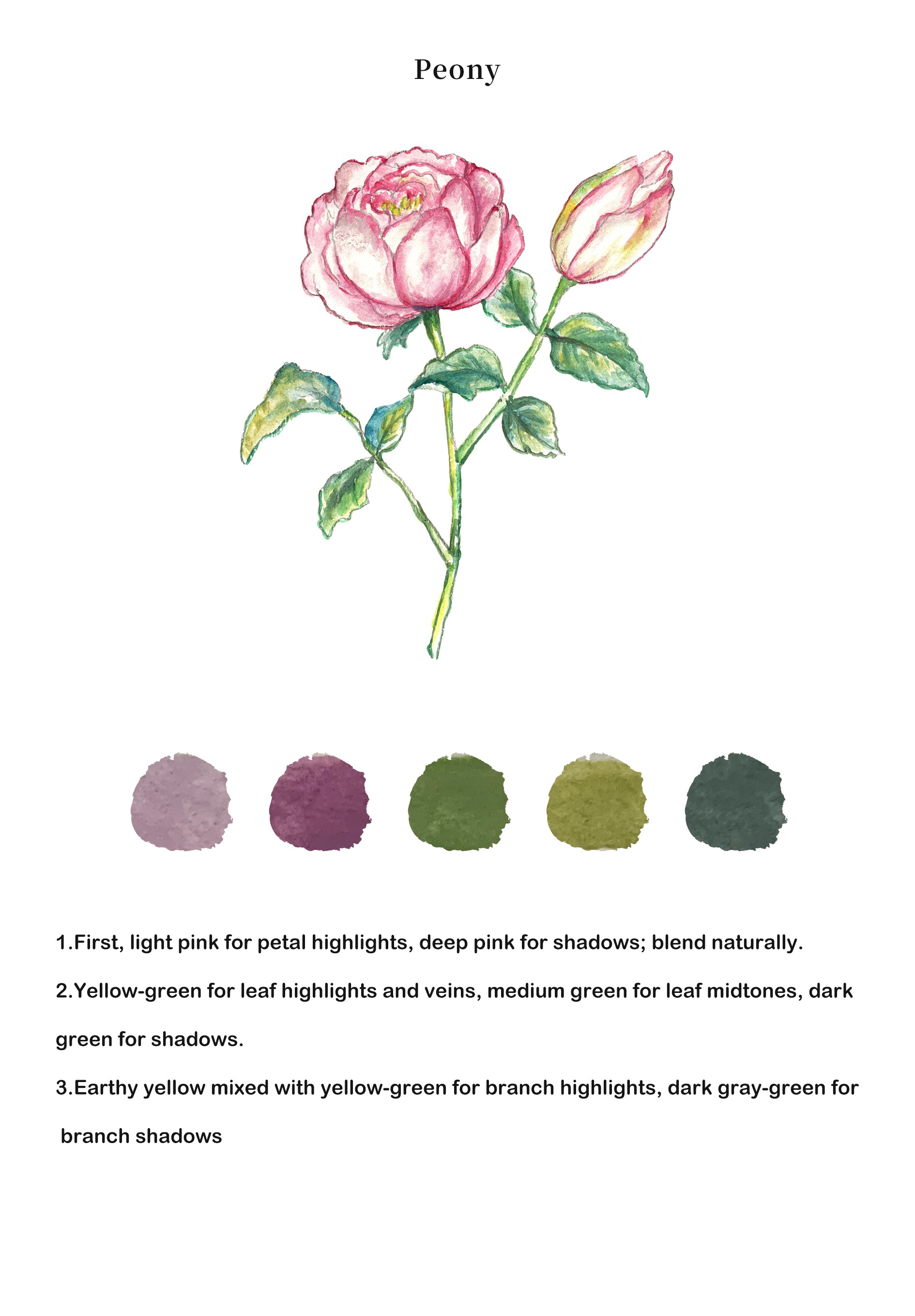 Flowers Watercolor Book - ArtVibe Exclusive (Book Only)9