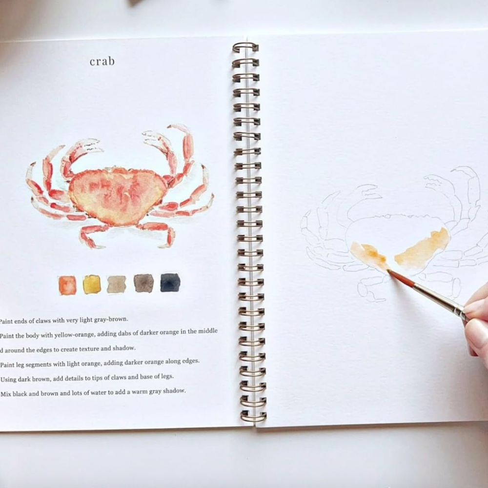 Watercolor Book Complete Set -  ArtVibe Wellness